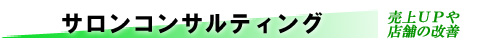 サロンコンサルティング