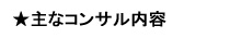 コンサル内容